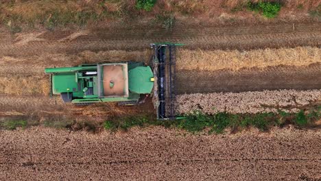 Moder-single-combine-harvester-mows-grain-by-daylight-in-Black-Forest,-Germany