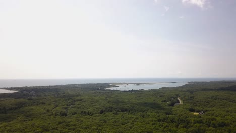 aerial panoramic view of vegetation at burlingame state park, usa