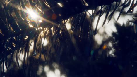 sunrise-in-the-tropical-Amazon-forest-in-Brazil-with-sun-rays-shining-through-the-palm-leaves