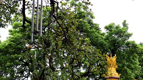 wind chimes and golden statue amidst trees