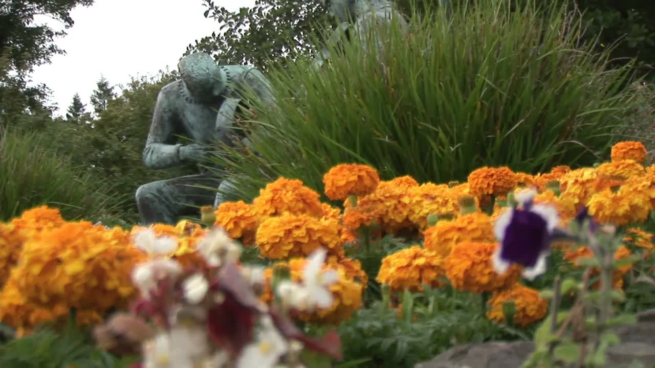 Filmato di repertorio Clare in Irlanda 93