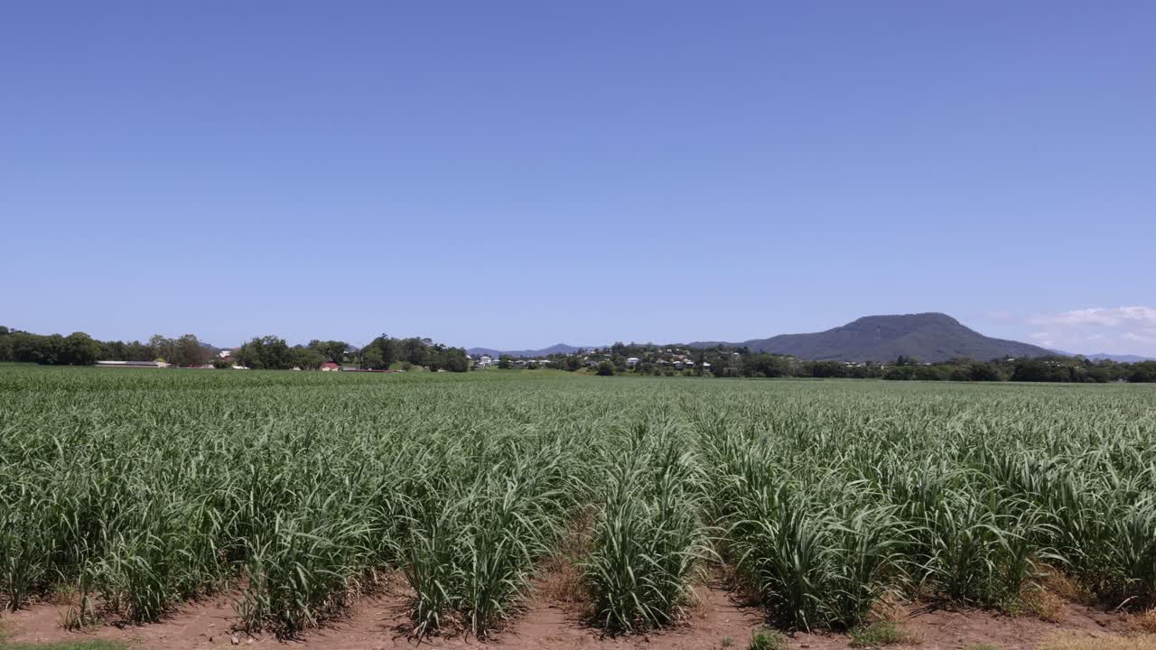 campo expansivo con un fondo de montañas lejanas