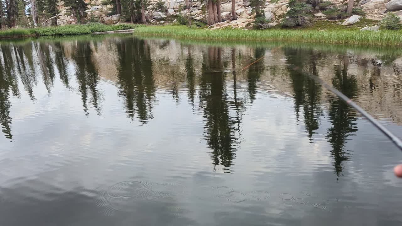 송어가 물 밖으로 점프하는 동안 플라이 낚싯대의 1인칭 시점