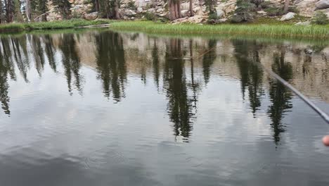 first person view of a fly fishing rod while trout jump out of the water