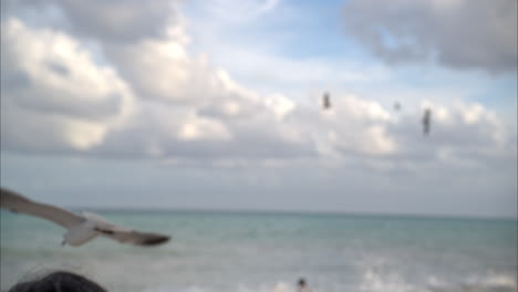 Slow-motion-close-up-of-a-female-hand-raised-up-with-a-piece-of-bread-trying-to-feed-seagulls-in-the-air-and-getting-scared-by-them