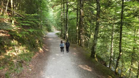 couple walking in forest on wood path in scenic landscape - dolly shot