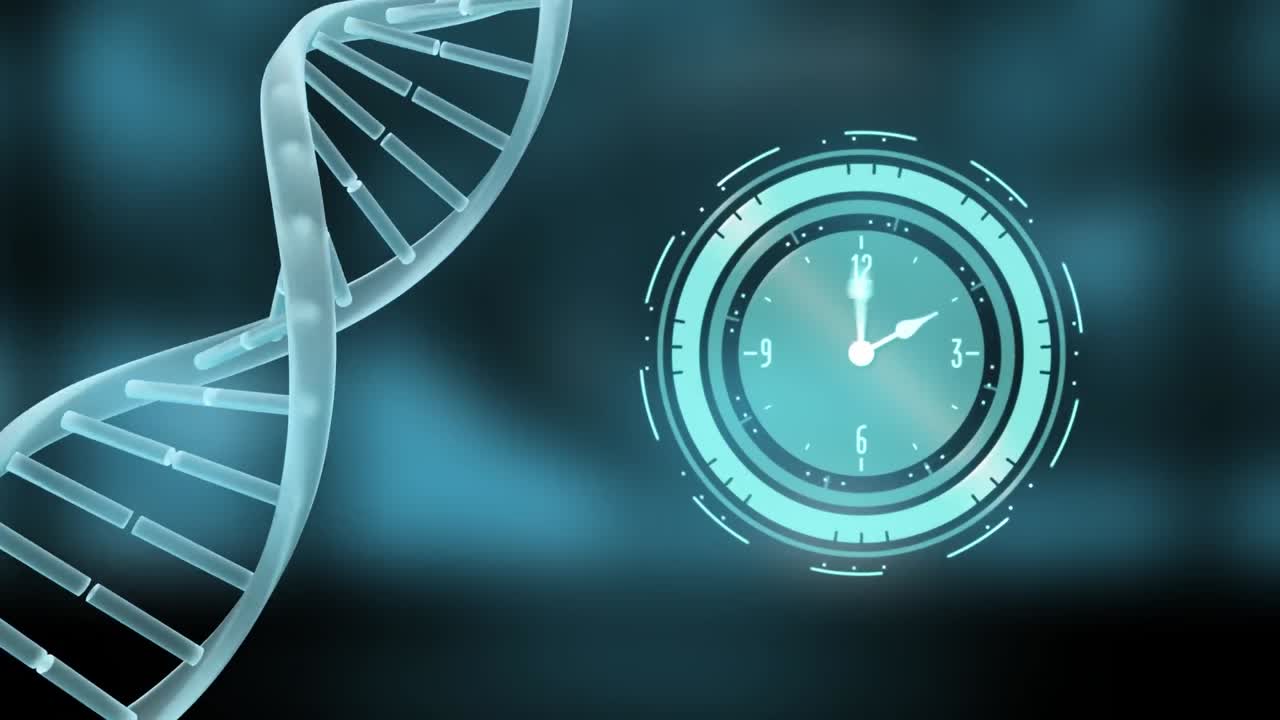 animación de un reloj que se mueve sobre la cadena de adn sobre un fondo gris