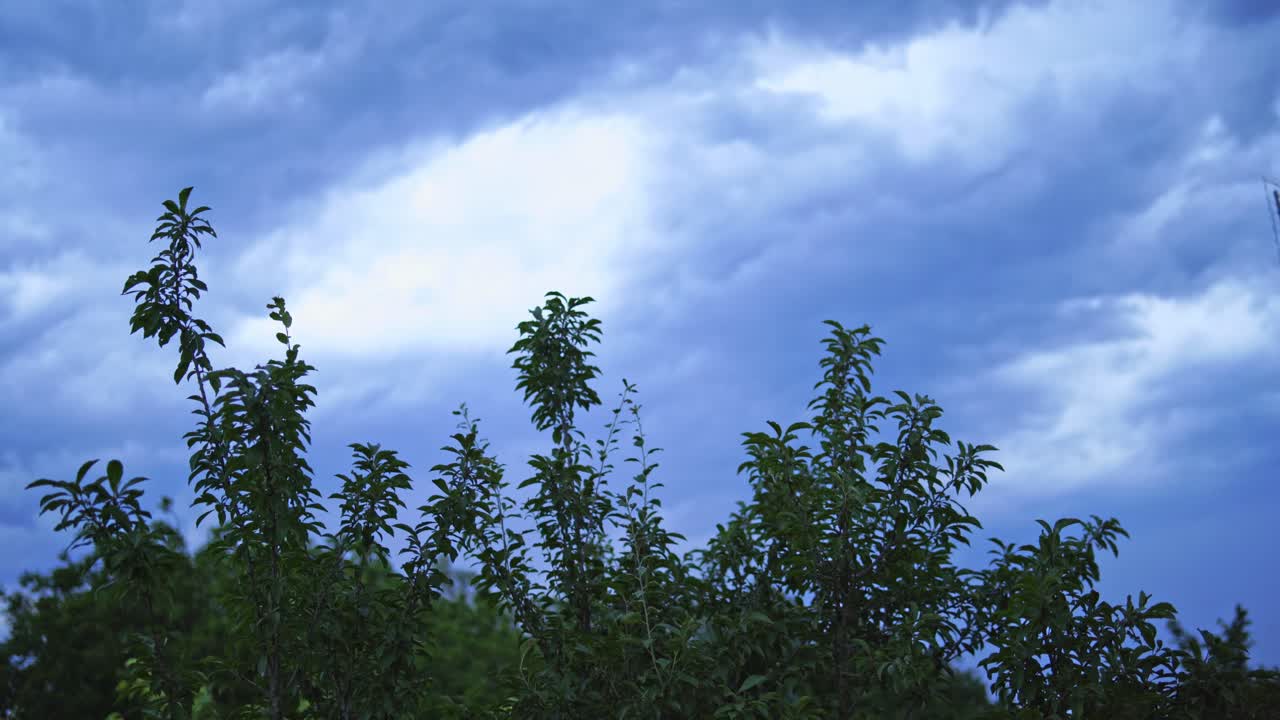 Lightning storm over sky. View of the lightning strike on the dark cloudy sky