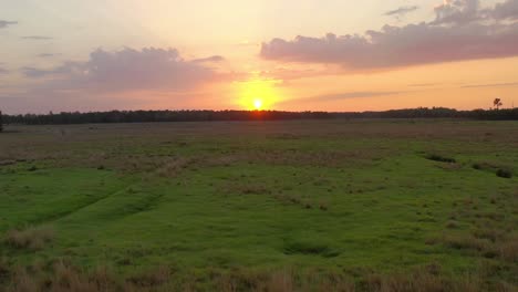 drone view of a sunset over the countryside of land o´lakes in florida