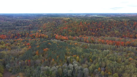 Herbstliche-Landschaftsansicht-Des-Gauja-Flusses-Durch-Wälder-Bunte-Leuchtend-Gelbe-Orange-Und-Grüne-Bäume,-Sonniger-Tag