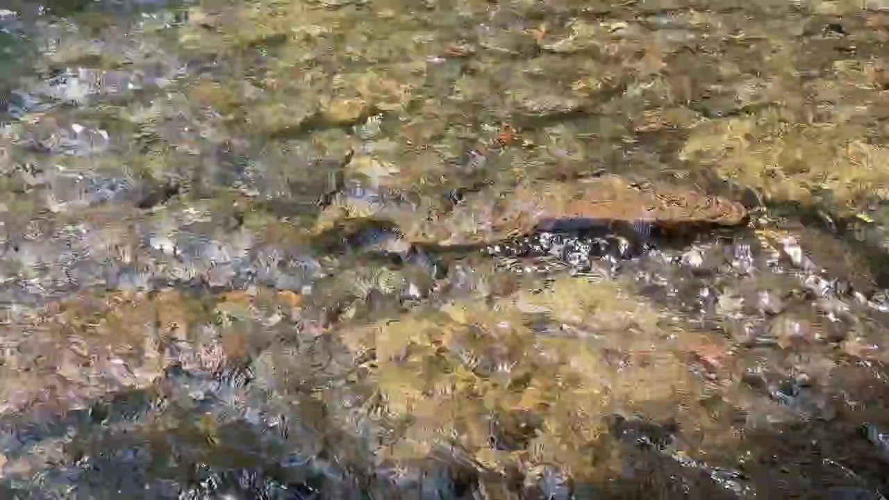 Clear Water Flowing Over Riverbed Rocks