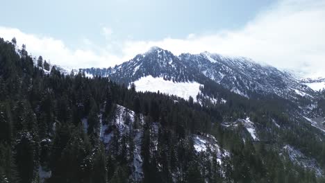 majestic snow-covered mountains and evergreen forest