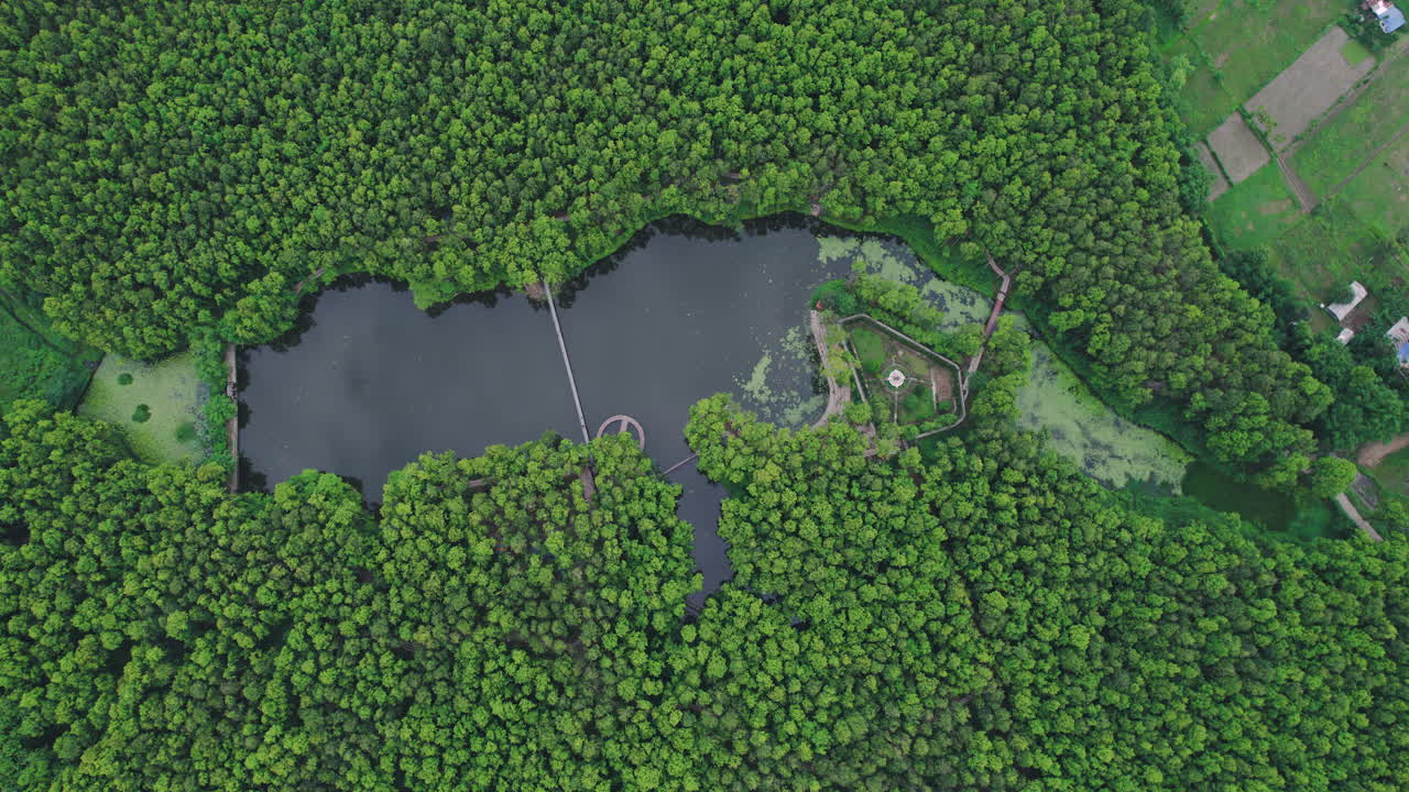 나무가 울창한 푸른 숲으로 둘러싸인 네팔 호수의 광각 드론 영상.