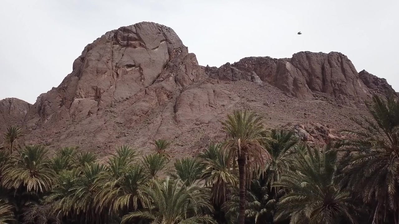 Riprese aeree con drone di una formazione montuosa aspra che si erge sopra un'oasi di palme in Marocco. Le texture rocciose dettagliate e il contrasto naturale creano un paesaggio cinematografico ideale per la geologia, la natura e i viaggi.