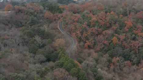 aerial view of todaiji temple, road on hill and city of nara, japan