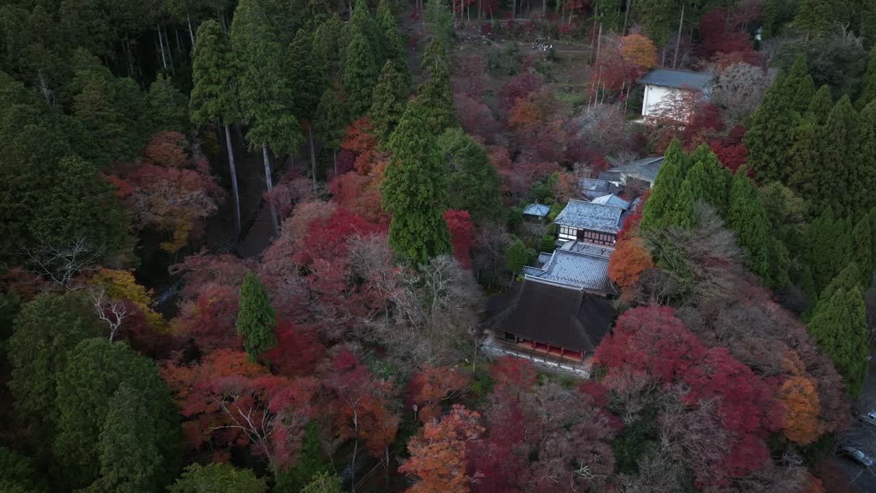 Drone Fly autumnal colors of Japanese Takao, North Kyoto secluded temples in forested valley area, Jingoji and Kozanji