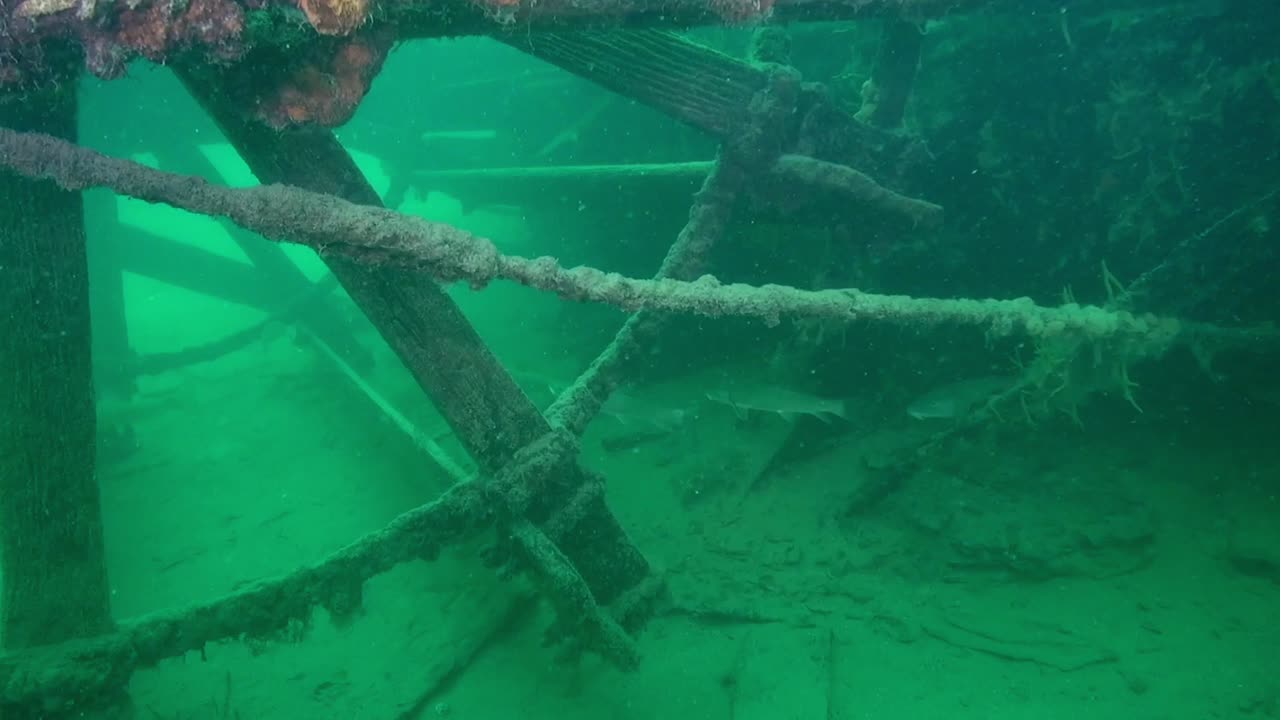 Whitefish on the paddlewheel of goldrush ship AJ Goddard