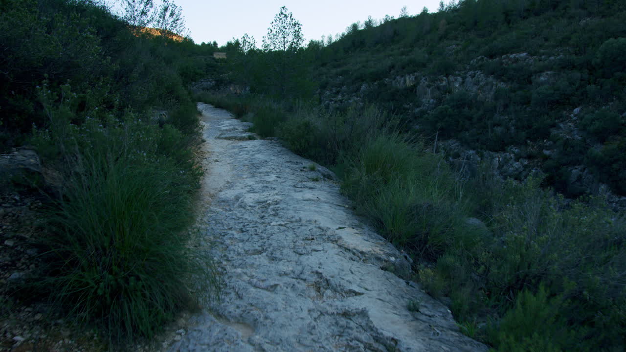 Mountain Trail Path through Forest