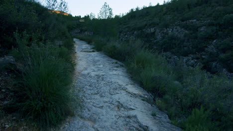 mountain trail path through forest