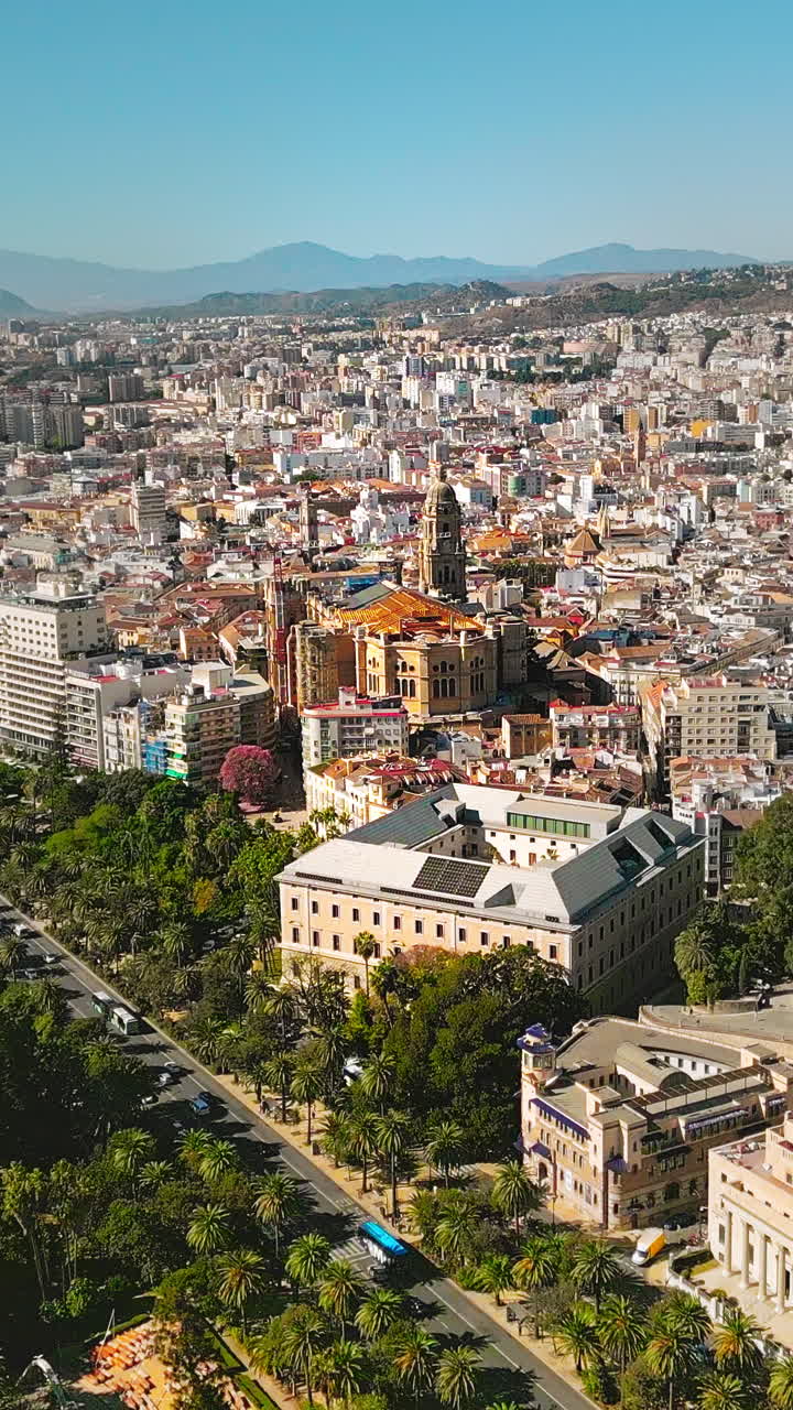 Avvicinamento aereo verticale sul traffico del Paseo del Parque verso la Cattedrale di Malaga e il Centro Storico, Spagna.