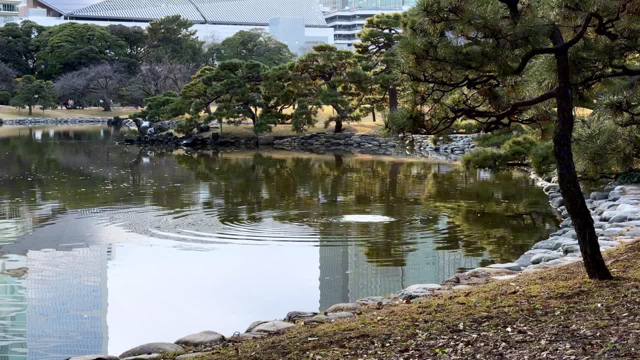 A peaceful pond surrounded by trees in Hama Rikyu Gardens, reflecting the skyline