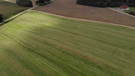 Panoramic-Aerial-view-of-crop-fields-in-rural-area-of-Borowy-Młyn-in-Kashubia,-Pomeranian-Voivodeship,-Poland