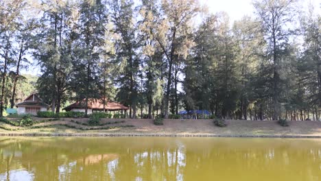 lago tranquilo que refleja una escena de bosque tranquilo