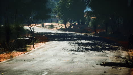 Camino-Que-Conduce-A-Través-De-Pequeñas-Colinas-En-El-Paisaje-De-Arbustos-Australianos