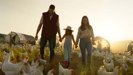 chicken, farm and family love