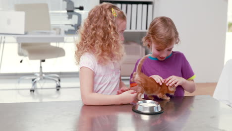 happy owners petting their cat