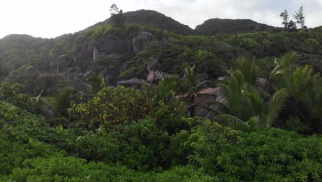 Aerial-view-of-the-jungle-at-Anse-Coco,-Petit-Anse-and-Grand-Anse-on-La-Digue,-an-island-of-the-Seychelles