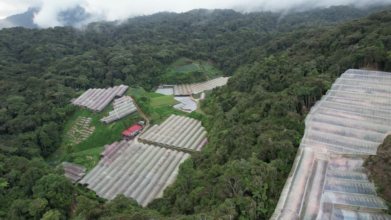 말레이시아의 카메론 하이랜드 지역 내의 브린창 지역의 일반 풍경