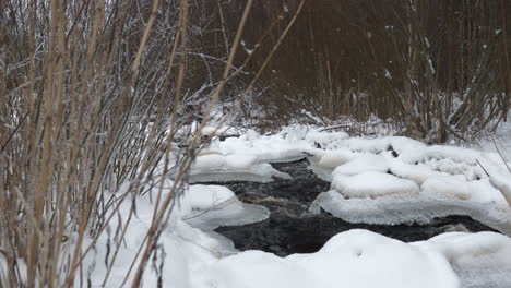 Nahaufnahme-Des-Wassers,-Das-Durch-Einen-Verschneiten-Bach-In-Einer-Buschigen-Landschaft-Fließt