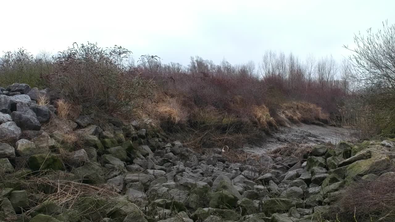 낮은 공중 마른 강바닥 바위 쓰레기 밀 풀 곰팡이 흐린 날