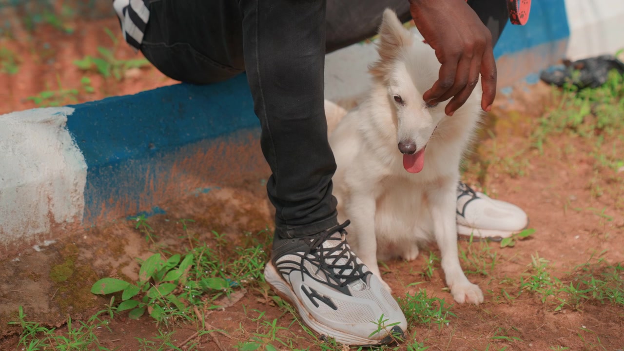 Individual tending to his loyal canine companion. Man gently caring for his faithful dog on busy street. An individual crouches beside his beloved dog amidst vibrant city surroundings