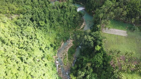 kanlaob river flowing through lush jungle feeding dam waterfall of kawasan falls, cebu