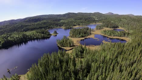 high-speed aerial view of lakes and forest in the mountains on a sunny day