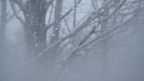 copos de nieve cayendo en cámara lenta