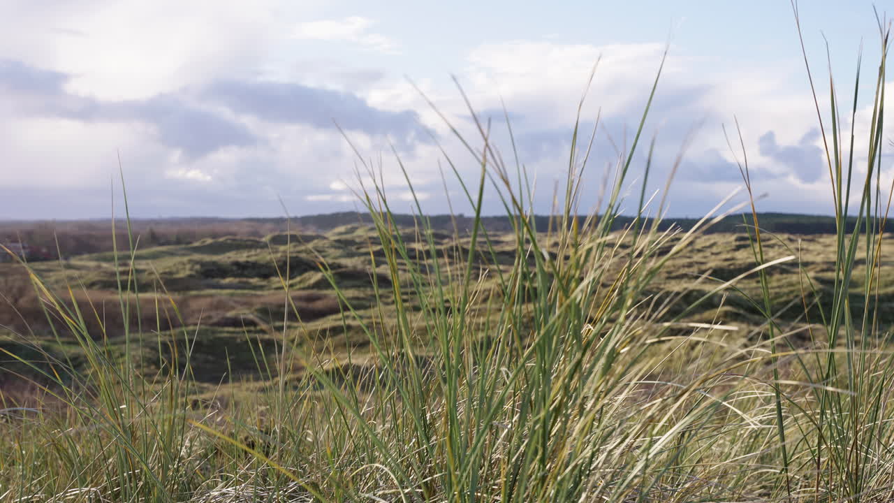 día ventoso en una pradera en los países bajos