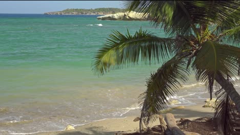 Peace-and-tranquility-captured-on-a-beautiful-beach-in-the-Dominican-Republic,-coconut-trees-to-the-side,-cliff-in-the-background,-turquoise-blue-water