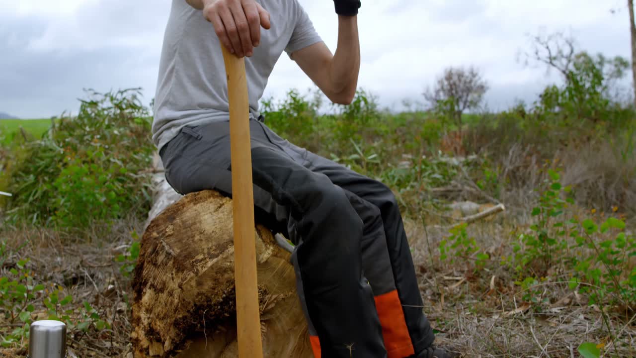 숲에서 물을 마시는 나무 ⁇  4k