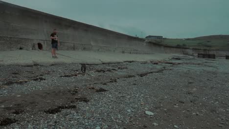 Two-dogs-playing-on-a-English-Beach