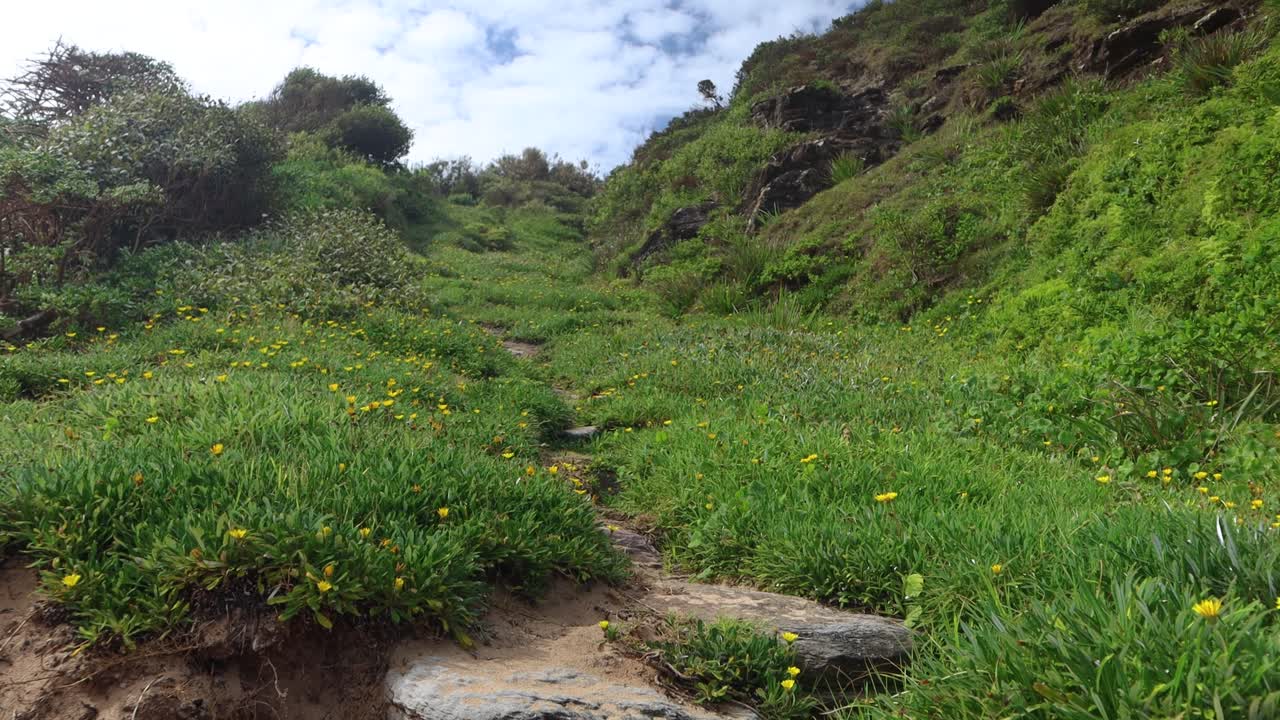 sendero hermosas rocas verdes caminar caminata naturaleza australia