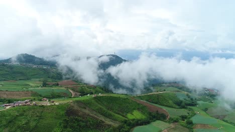 scenic drone footage of cabbage plantation with foggy weather in background