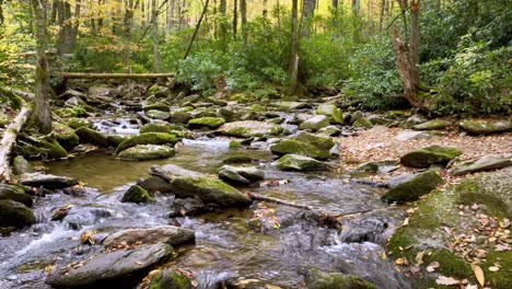 goshen creek low aerial in fall near boone and blowing rock nc, north carolina