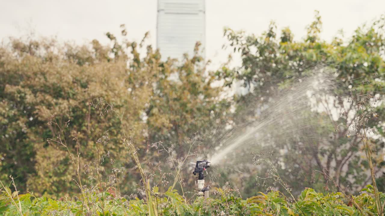 Aspersor de irrigação pulverizando água sobre plantações perto de árvores.