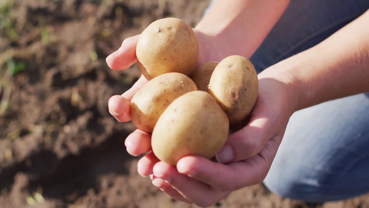 Video di mani di donna caucasica che tiene patate