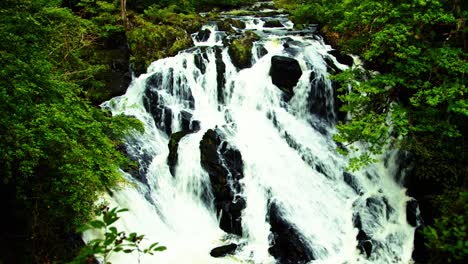 swallow falls es una cascada en un pintoresco entorno boscoso en gales.