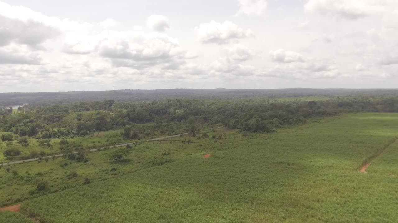 High drone footage of the forest Nanga Eboko