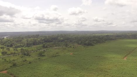 High-drone-footage-of-the-forest-Nanga-Eboko